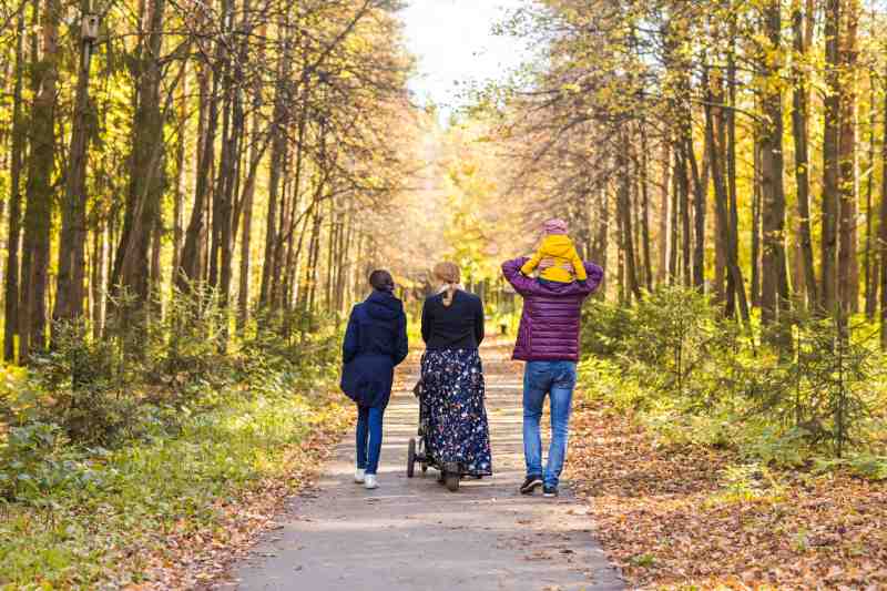 Family Walk A family take a leisurely walk through a forest on a sunny day