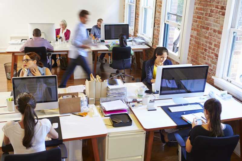 A wide angle view of a busy office with employees working at their desks